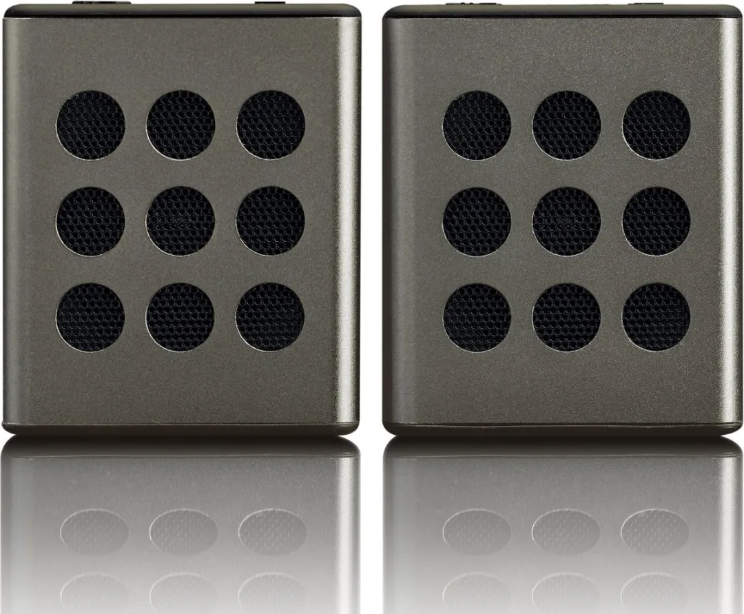Lenco BTP-200BK Bluetooth Speaker