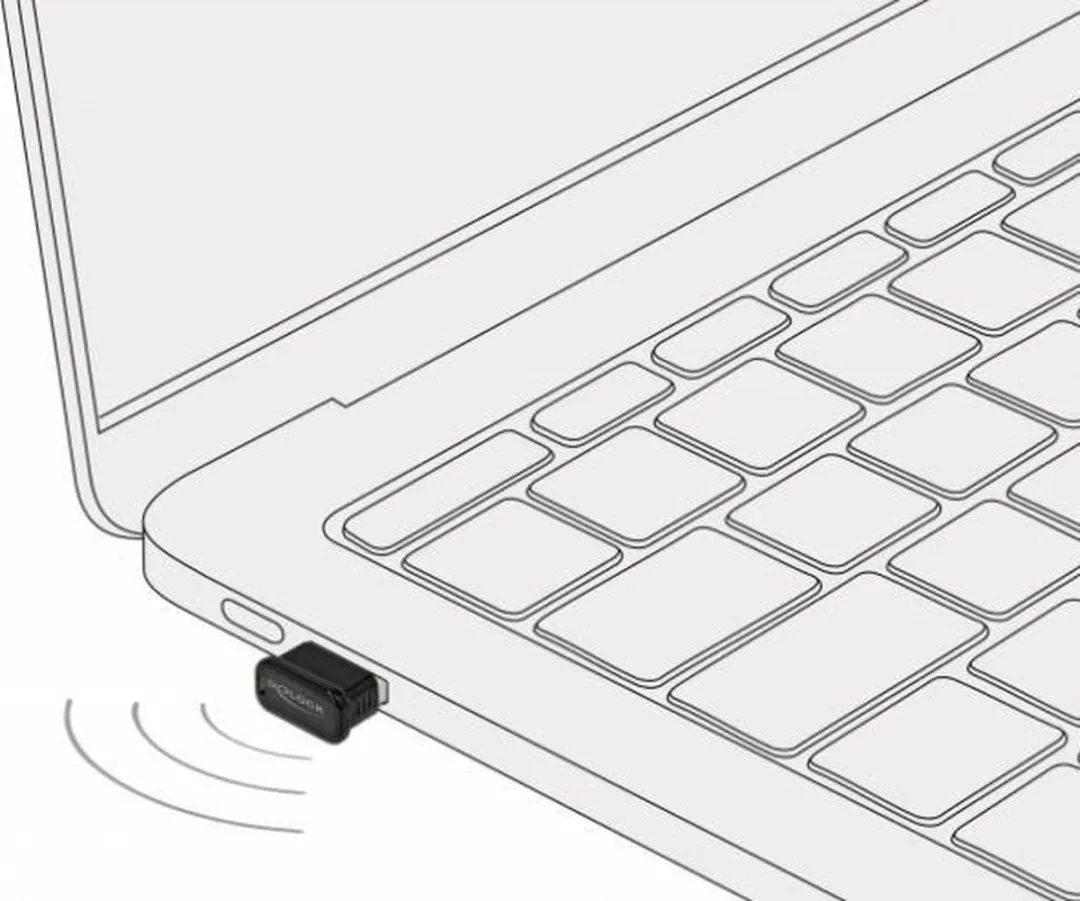 Delock 61004 USB 2.0 Bluetooth Adapter - Zwart