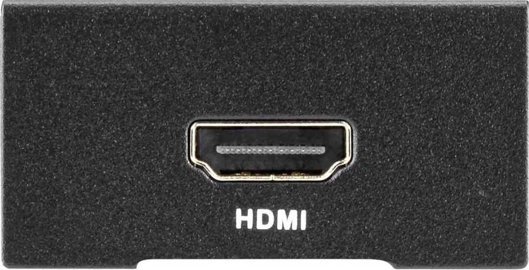 SpeaKa Professional SP-MSD/HD-01 AV Converter - Zwart