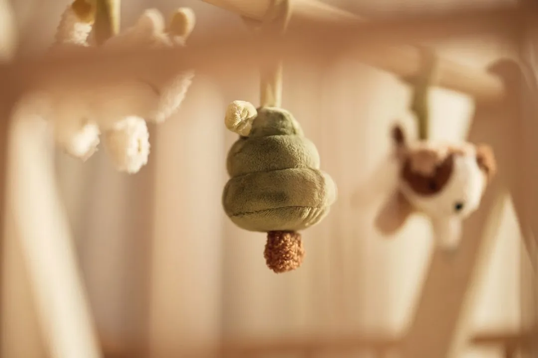 Jollein Babygym Tiny Park - Houten Speelgoed - 3 Speelelementen