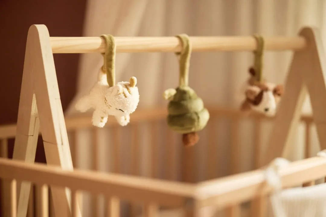 Jollein Babygym Tiny Park - Houten Speelgoed - 3 Speelelementen