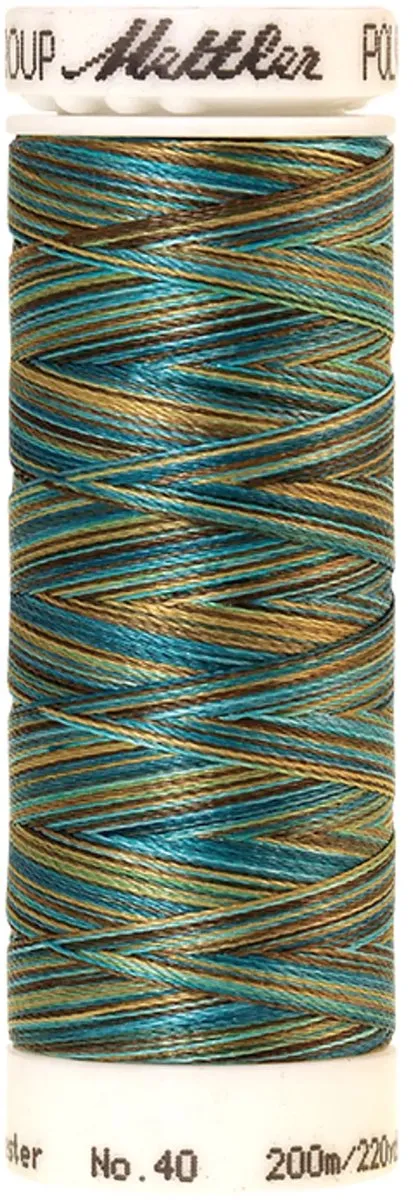 Amann Mettler Poly Multi Borduurgaren 9978 - 200m - Multicolor
