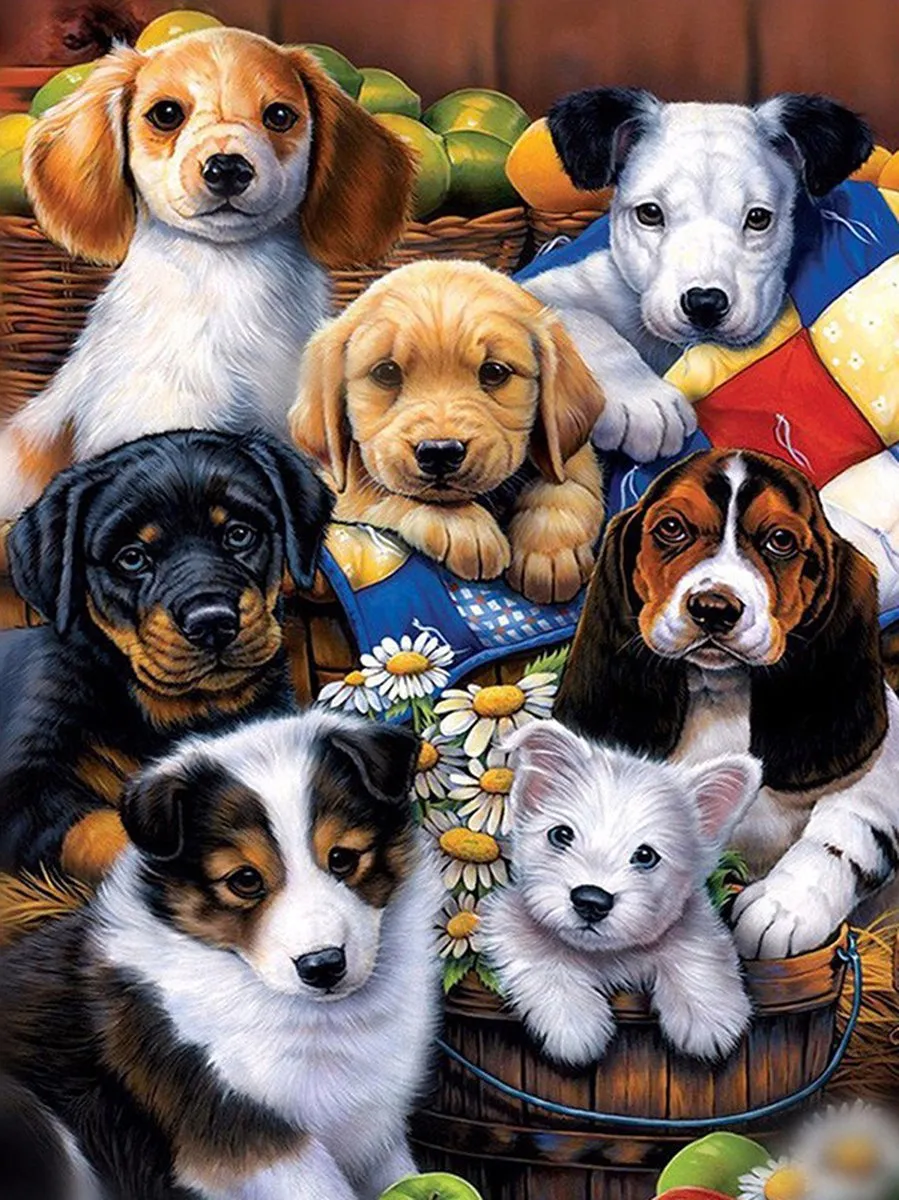 VDTOYS Diamond Painting VDT050 DOG GROEP