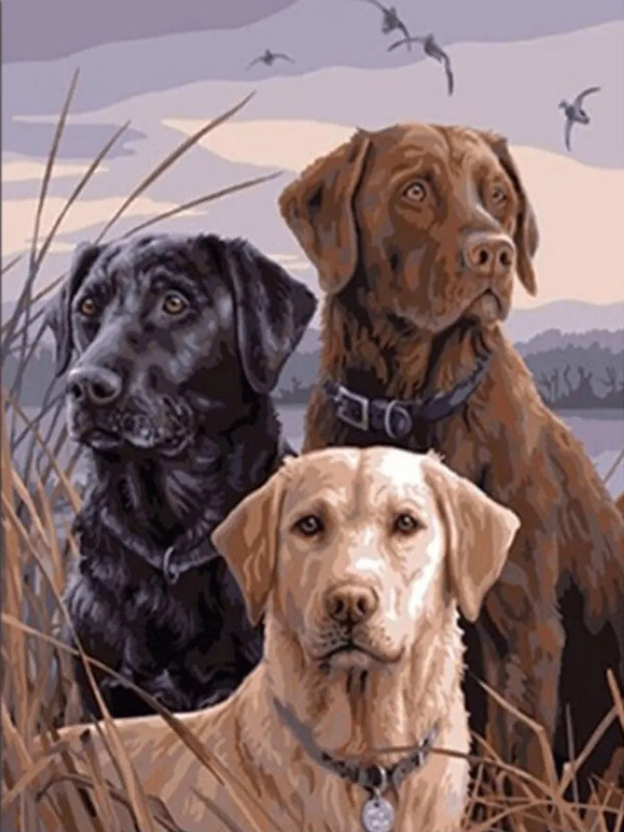 VDTOYS Diamond Painting VDTA084 Labradors
