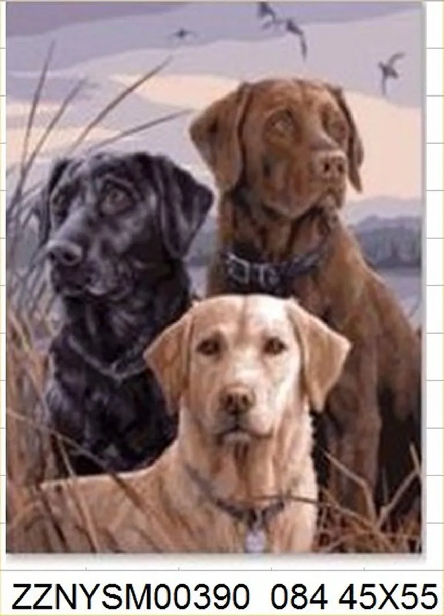VDTOYS Diamond Painting VDTA084 Labradors - 45x55cm