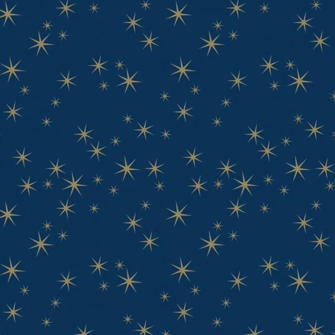 Clairefontaine Kerstcadeaupapier Sterren - Donkerblauw/Goud - 2 Stuks