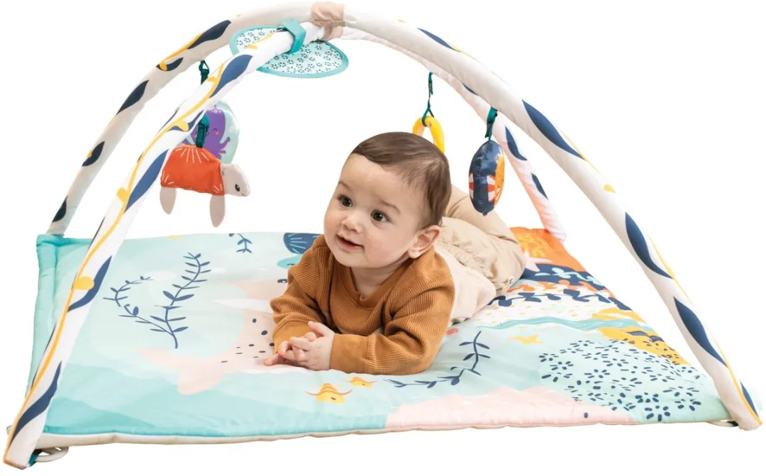 Infantino Underwater Wonders 3-in-1 Speelkleed - Multicolor