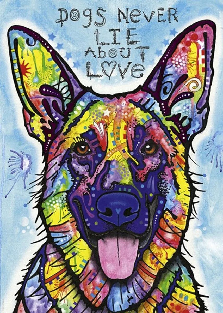 Heye Dogs Never Lie Legpuzzel 1000 Stuks