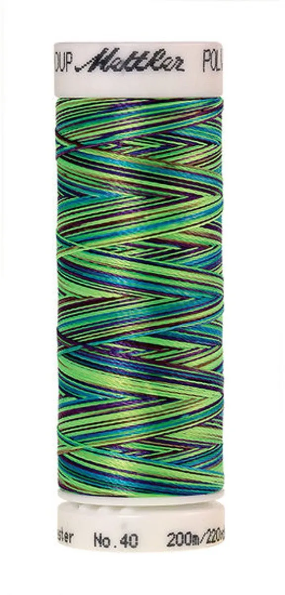 Amann Mettler Poly Multi Borduurgaren 9971 - 200m - Multicolor - afbeelding 6 van 6