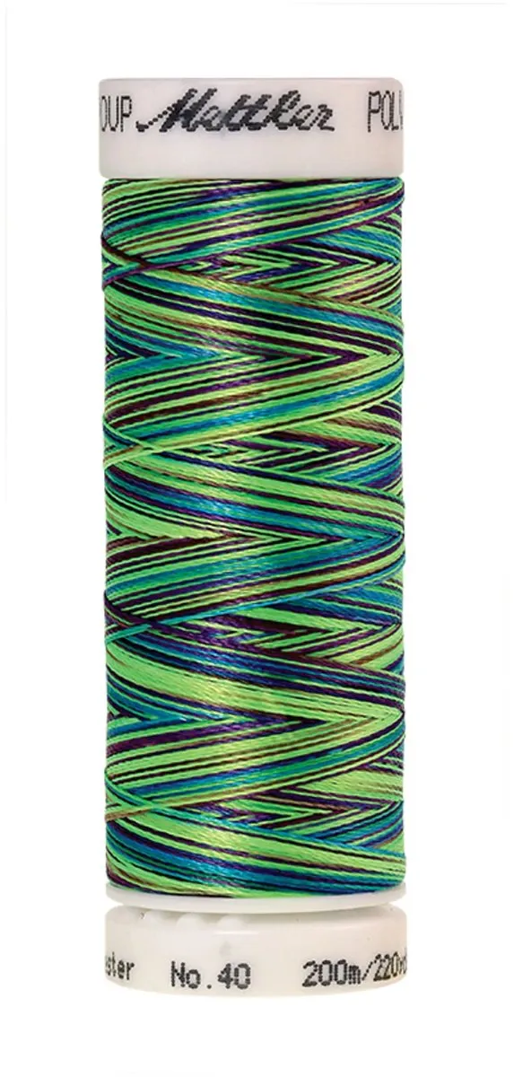 Amann Mettler Poly Multi Borduurgaren 9971 - 200m - Multicolor