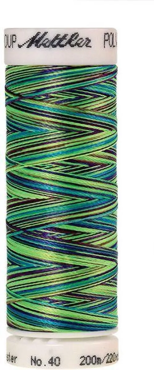 Amann Mettler Poly Multi Borduurgaren 9971 - 200m - Multicolor