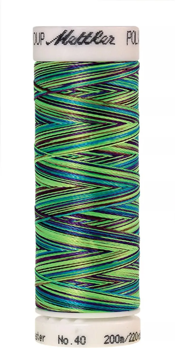 Amann Mettler Poly Multi Borduurgaren 9971 - 200m - Multicolor