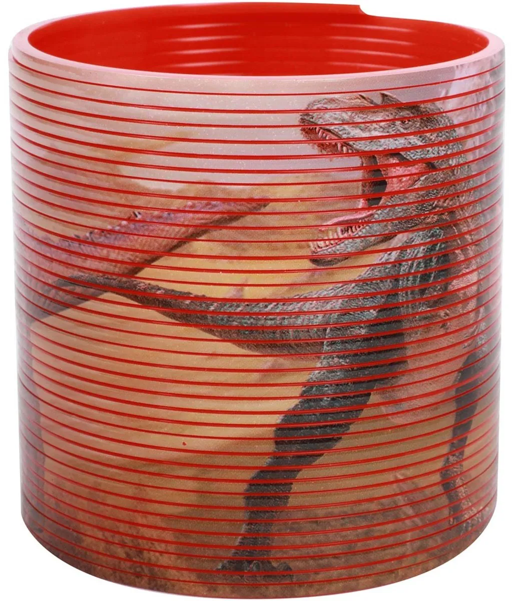 Toi-Toys Loopveer met Dinoprint