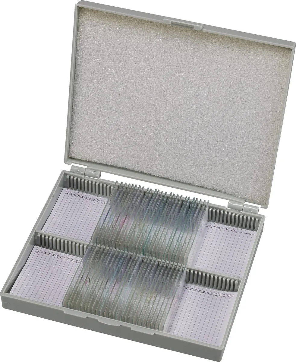 Bresser Microscoop Preparaten 30 Stuks Mens