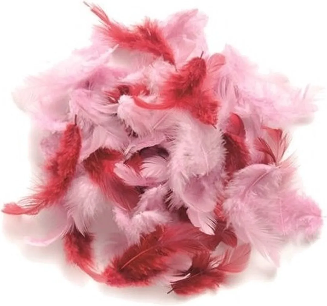 Glorex Hobby Roze Decoratieveren