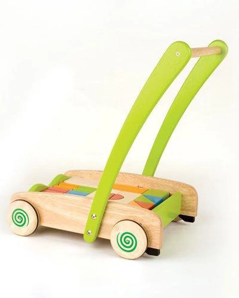 Pintoy Loopwagen Meerkleurig