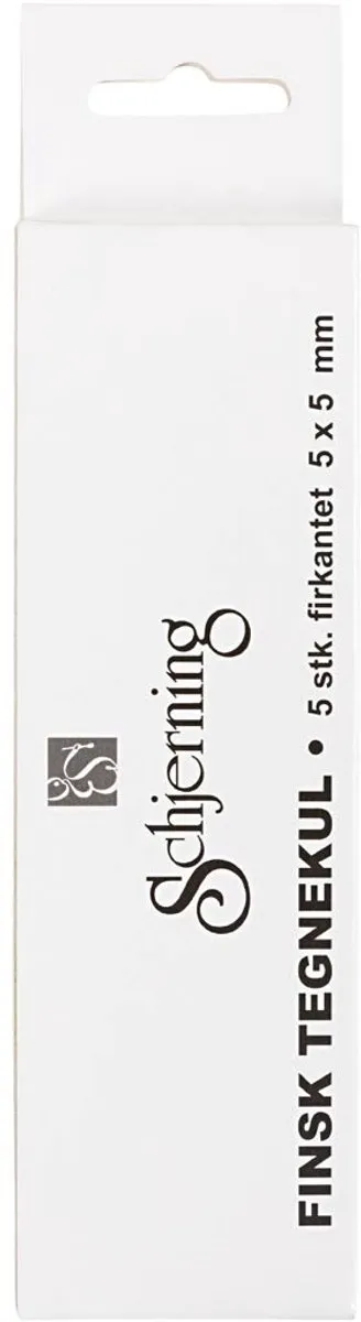 Creativ Company Schjerning Houtskool Sticks 15cm - 5 Stuks