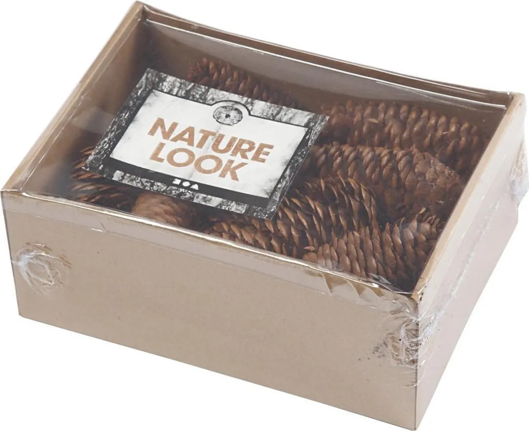 Creativ Company Creotime Dennenappels 14 Stuks - Bruin