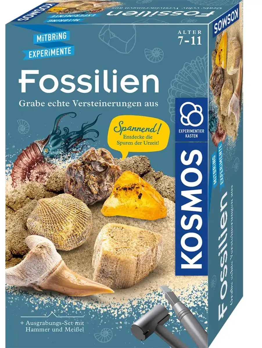 Kosmos Fossilien - Multicolor