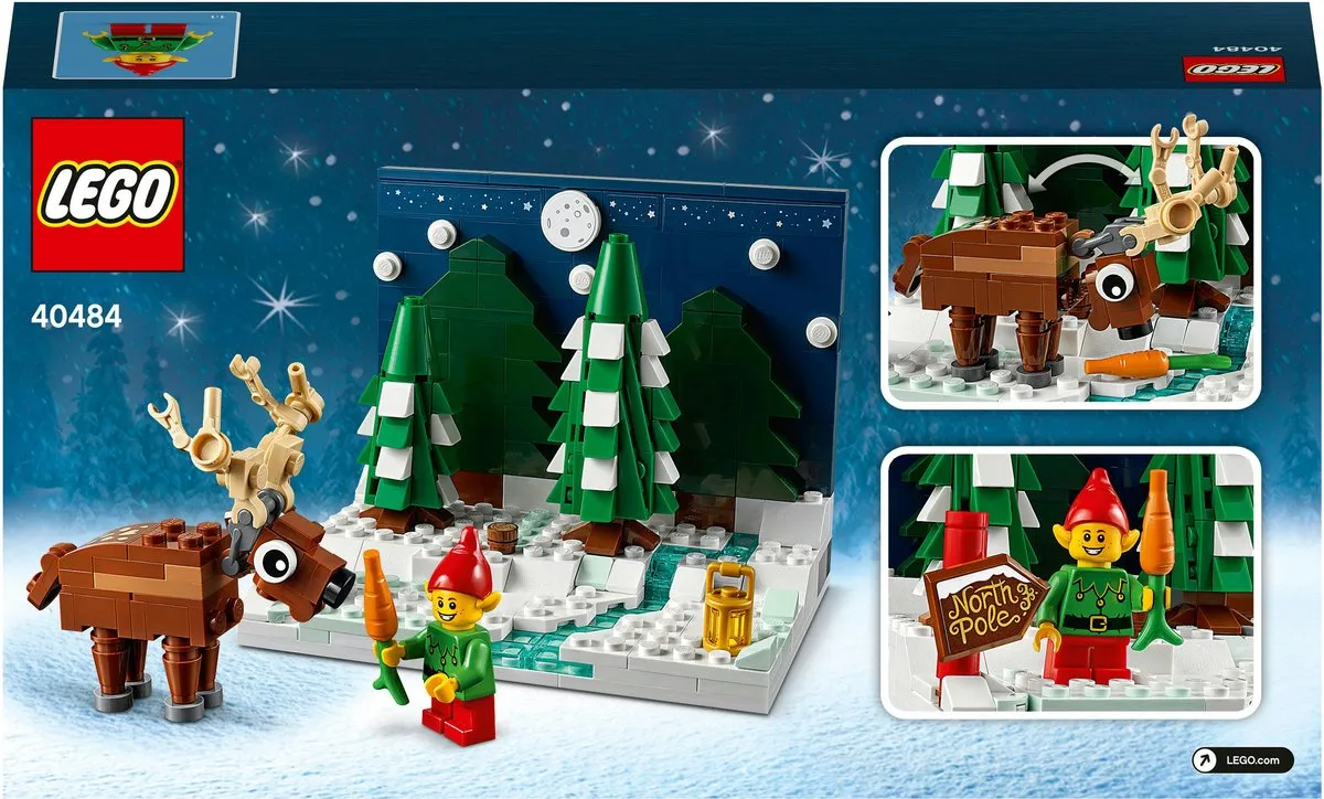 LEGO Limited Edition Voortuin van de Kerstman 40484 - Kerstset