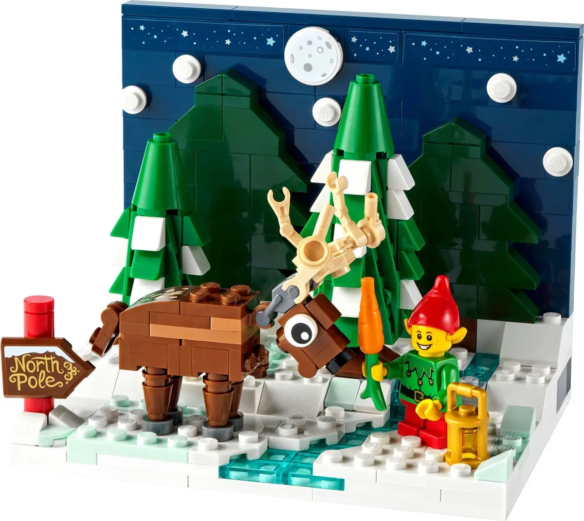 LEGO Limited Edition Voortuin van de Kerstman 40484 - Kerstset