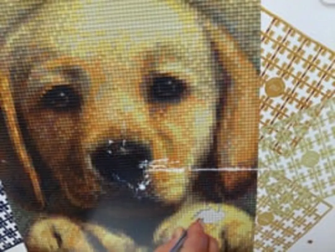 Pixelhobby Geschenkdoos Hond Basisplaten