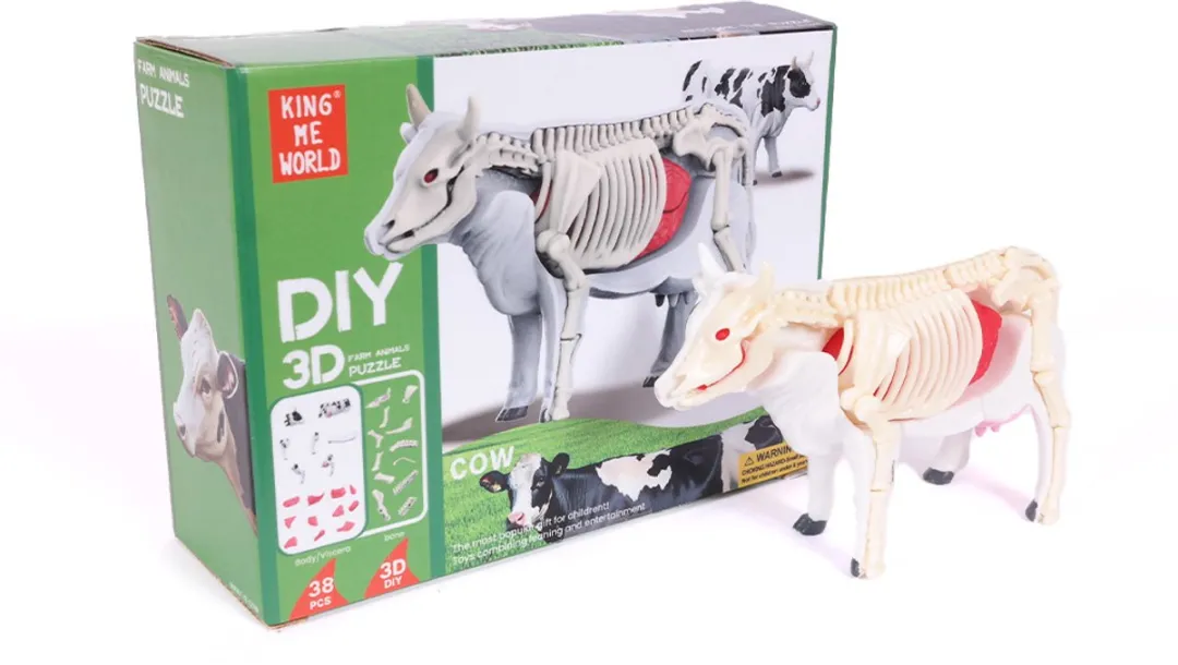 PIA Soft Toys 3D Anatomie Koe