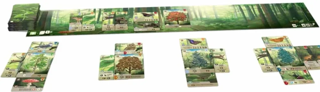 Lookout Games Forest Shuffle - Tactisch kaartspel voor natuurliefhebbers