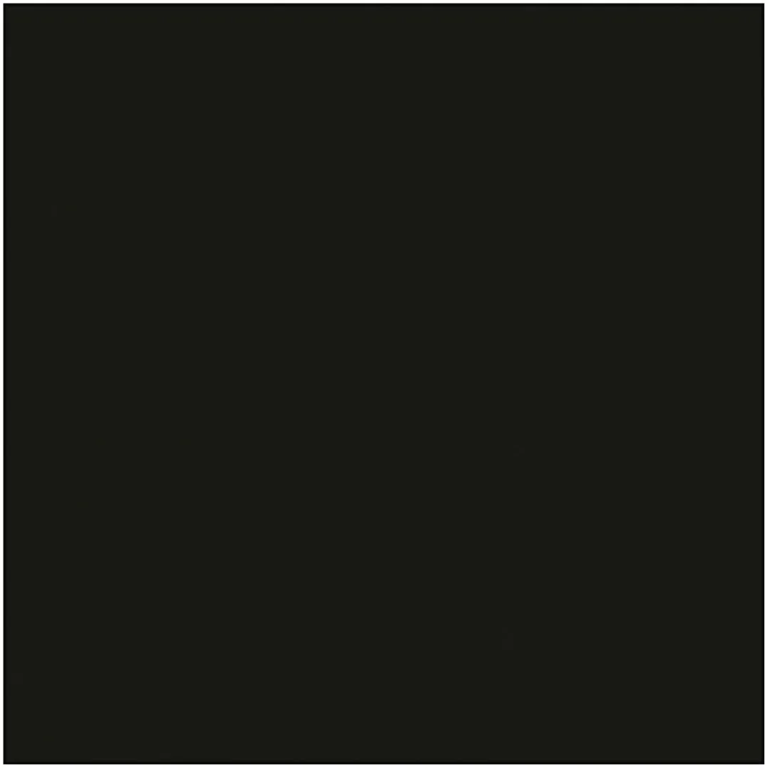 Creativ Company Creotime Tissuepapier 50x70cm - Zwart - 10 Stuks