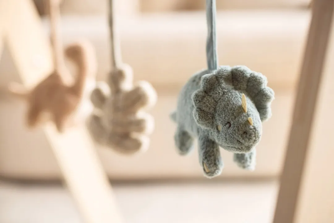 Jollein Babygym Speelgoed Hangers Dino's - Roarsome
