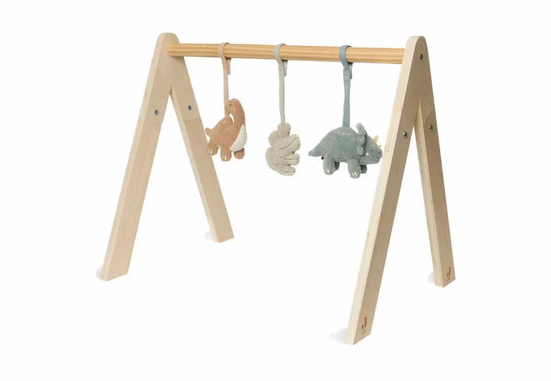 Jollein Babygym Speelgoed Hangers Dino's