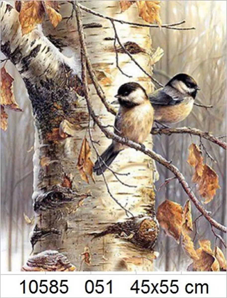 VDTOYS VDT051 Diamond Painting Two Birds - 45x55cm