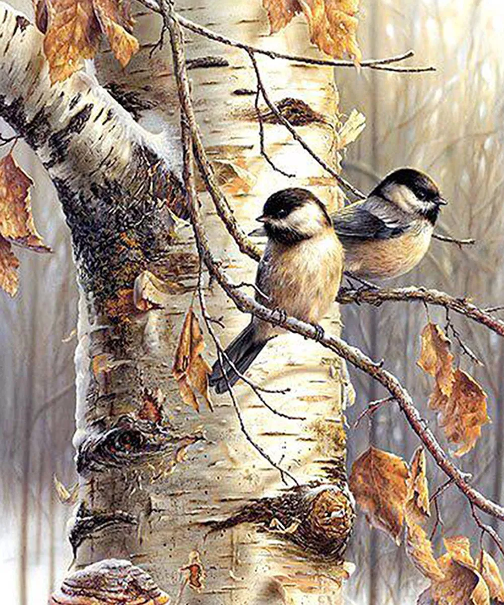 VDTOYS VDT051 Diamond Painting Two Birds