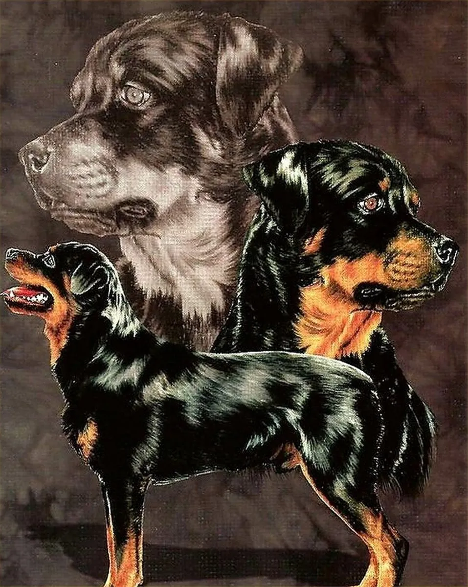 VDTOYS Diamond Painting VDT232 Groot