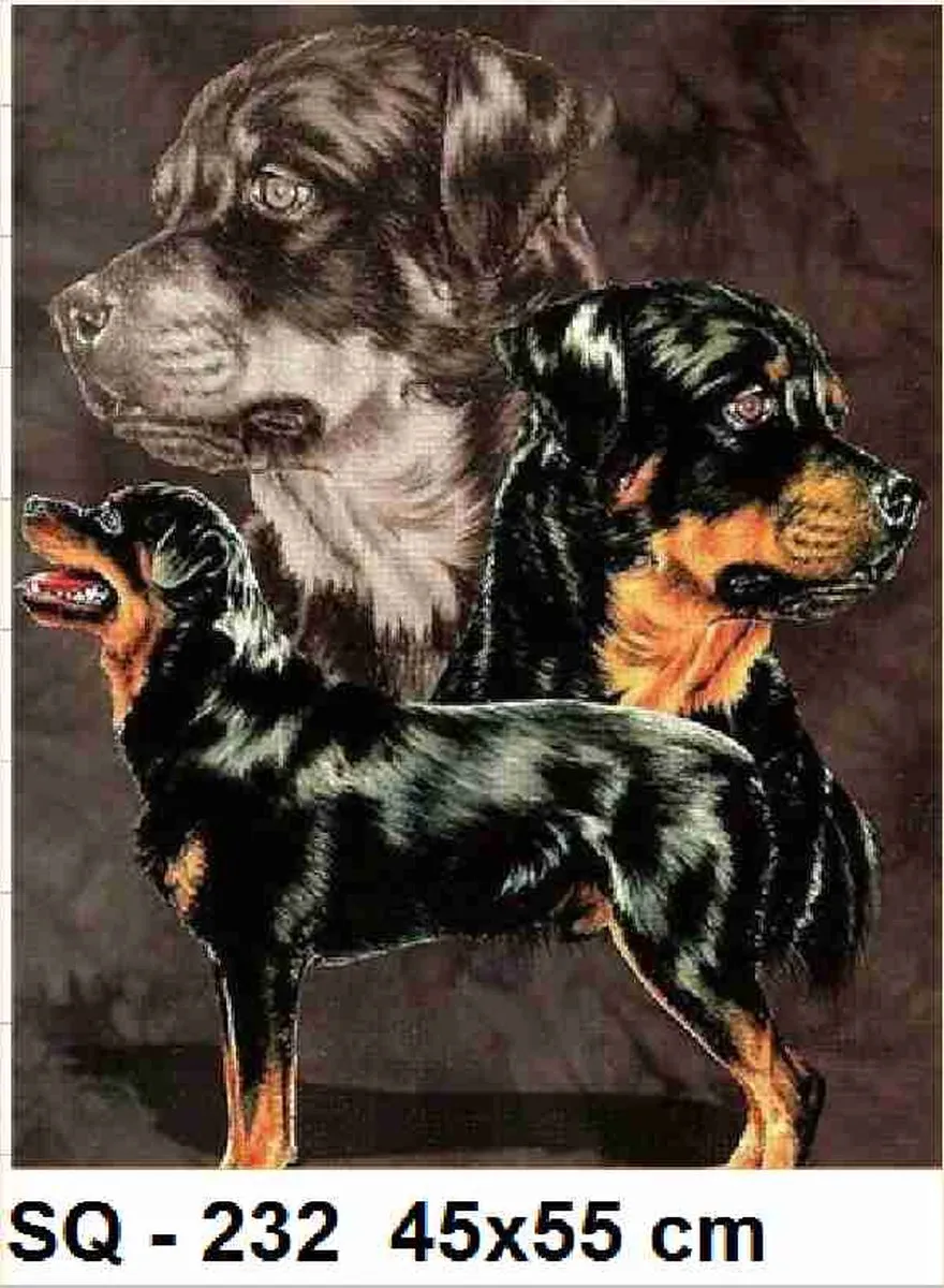 VDTOYS Diamond Painting VDT232 Groot - Annimals 101 - 45x55cm