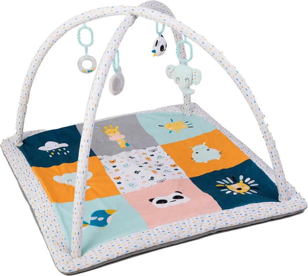 Eurekakids Babygym met Speelkleed