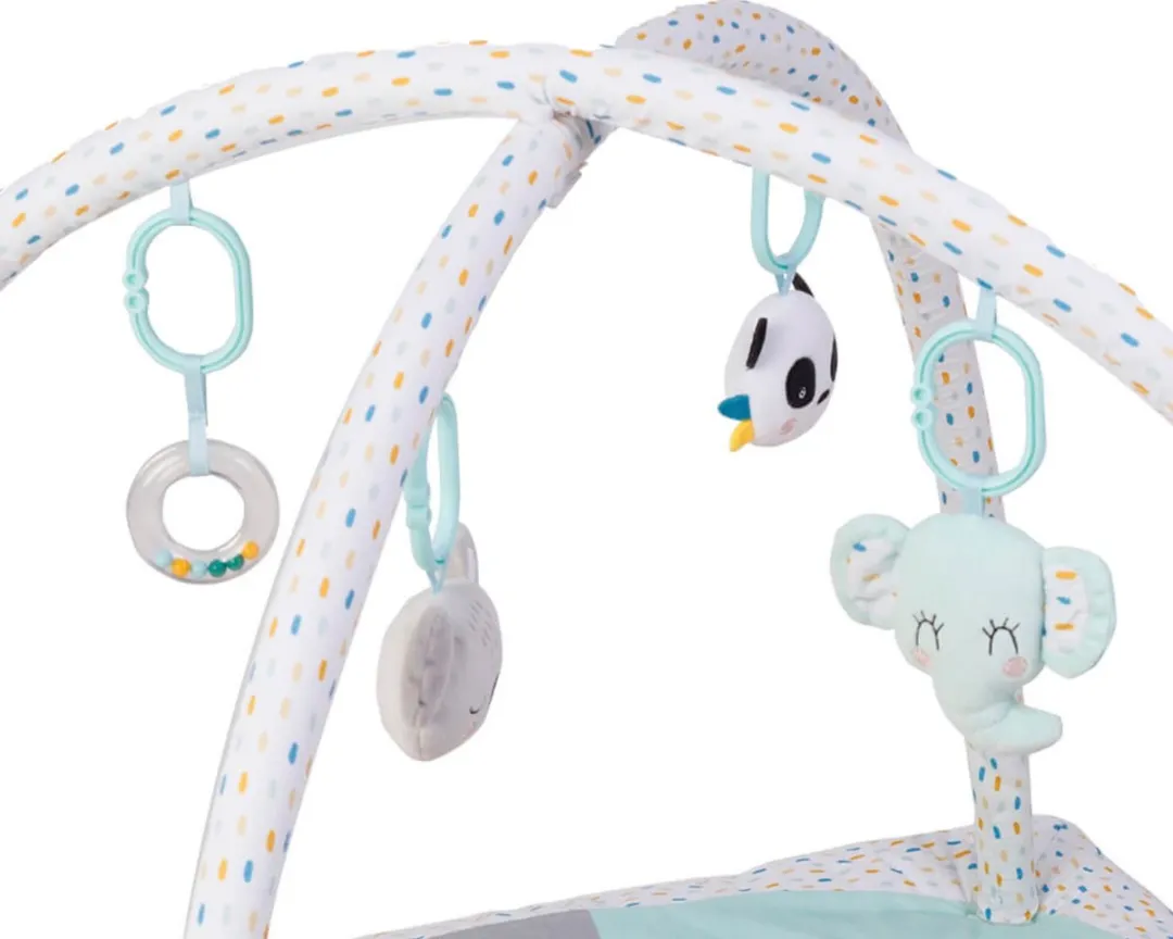 Eurekakids Babygym met Speelkleed - 4 Speelelementen - Multi