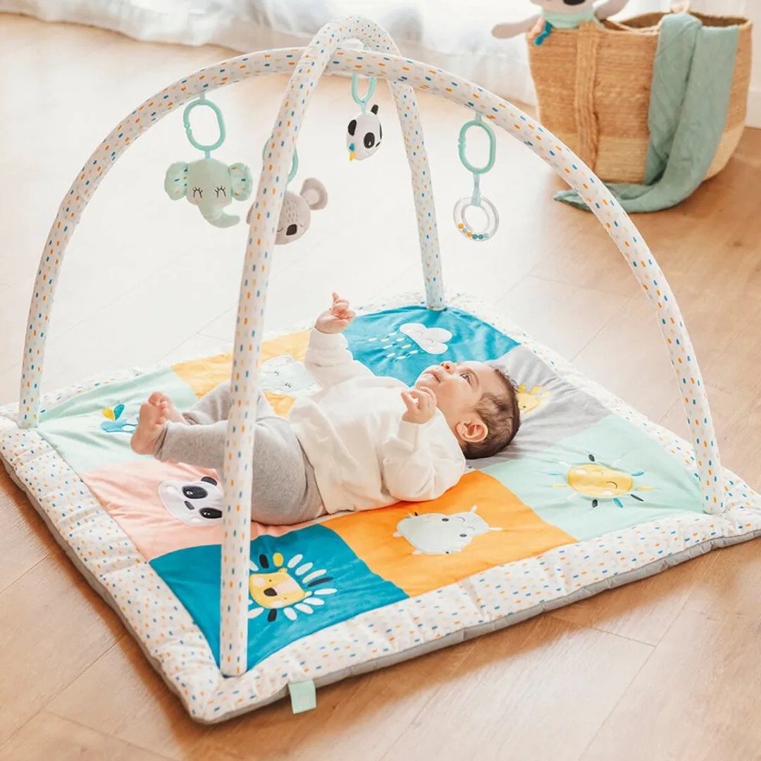 Eurekakids Babygym met Speelkleed - 4 Speelelementen - Multi