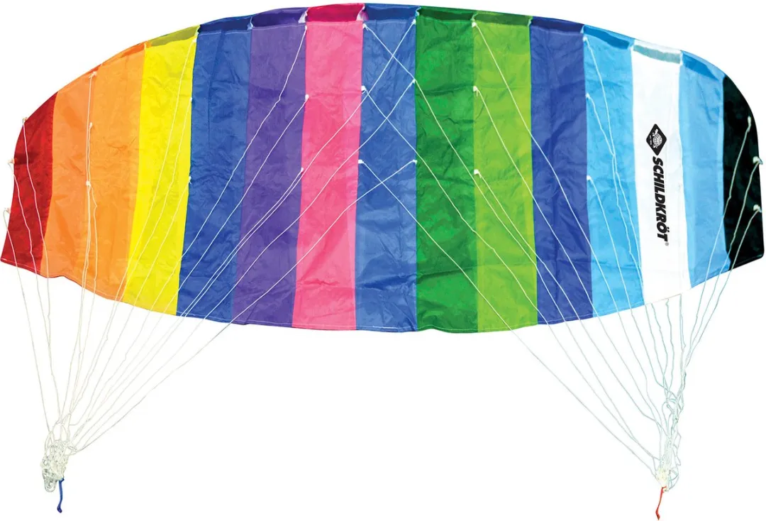 Schildkröt Sportkite 2-lijns 200cm - Multicolor
