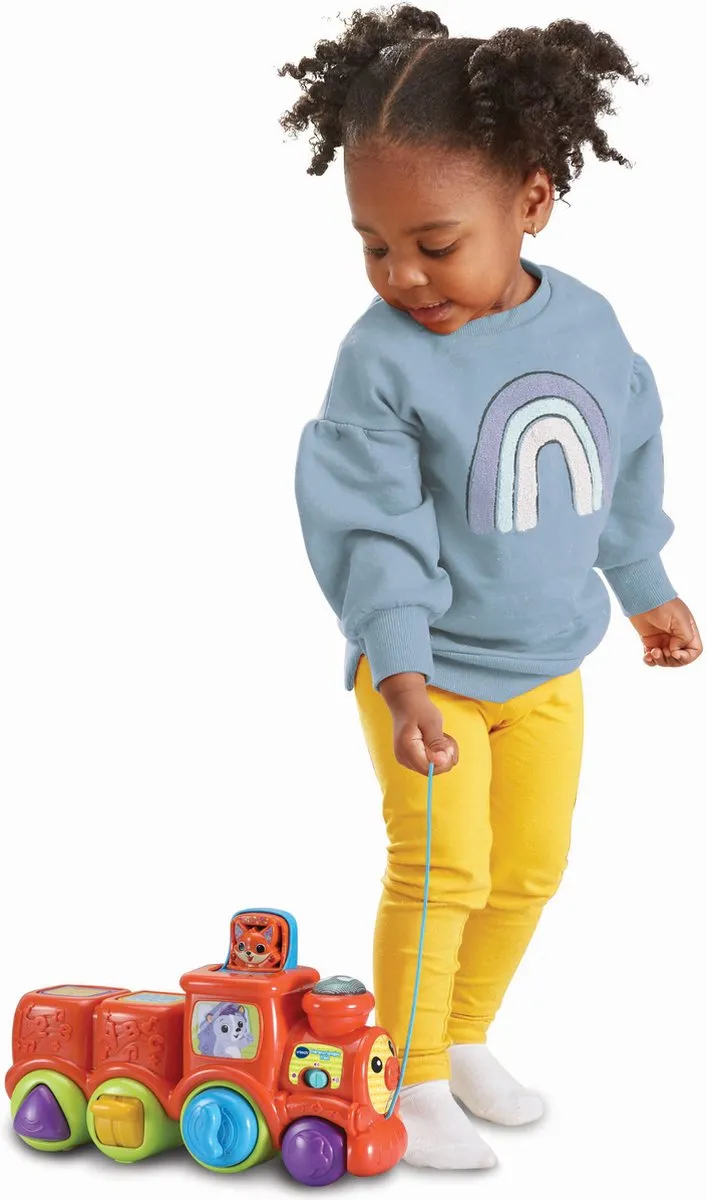 VTech Baby Dierenvriendjes Speelgoed Trein - Interactief & Educatief Babyspeelgoed - Activity-Center - Cadeau - Speelgoed 6 Maanden tot 3 Jaar