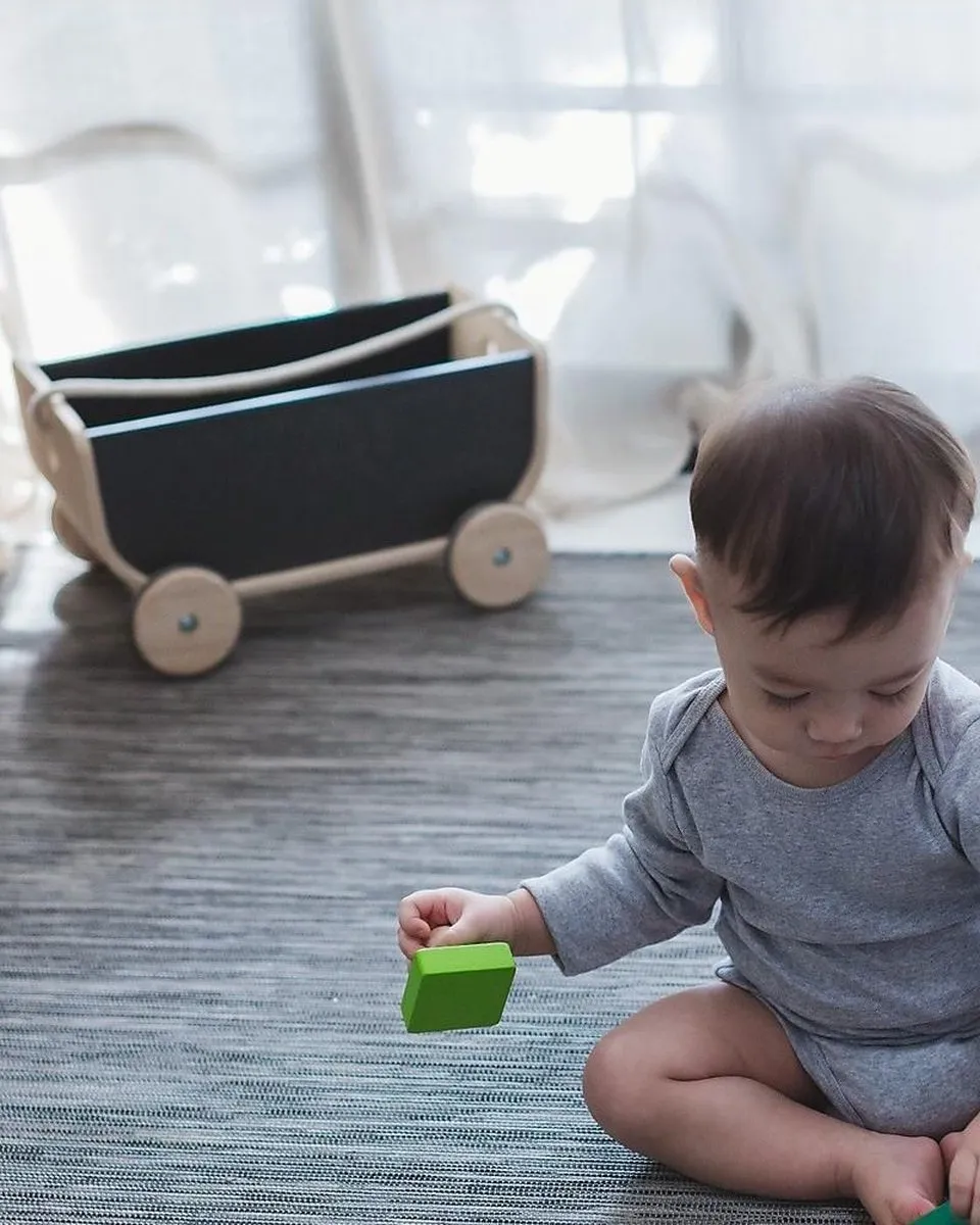 Plantoys Wagon - Zwart