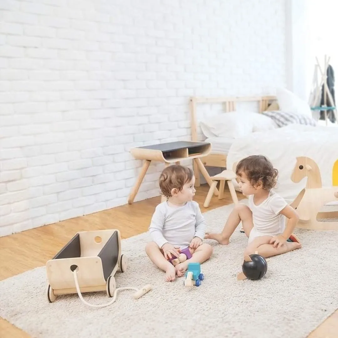 Plantoys Wagon - Zwart