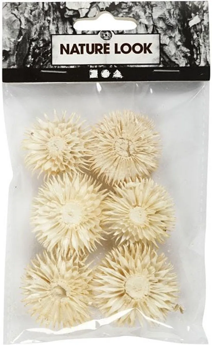 Creativ Company Gedroogde Bloemen - Multicolor - 6 Stuks