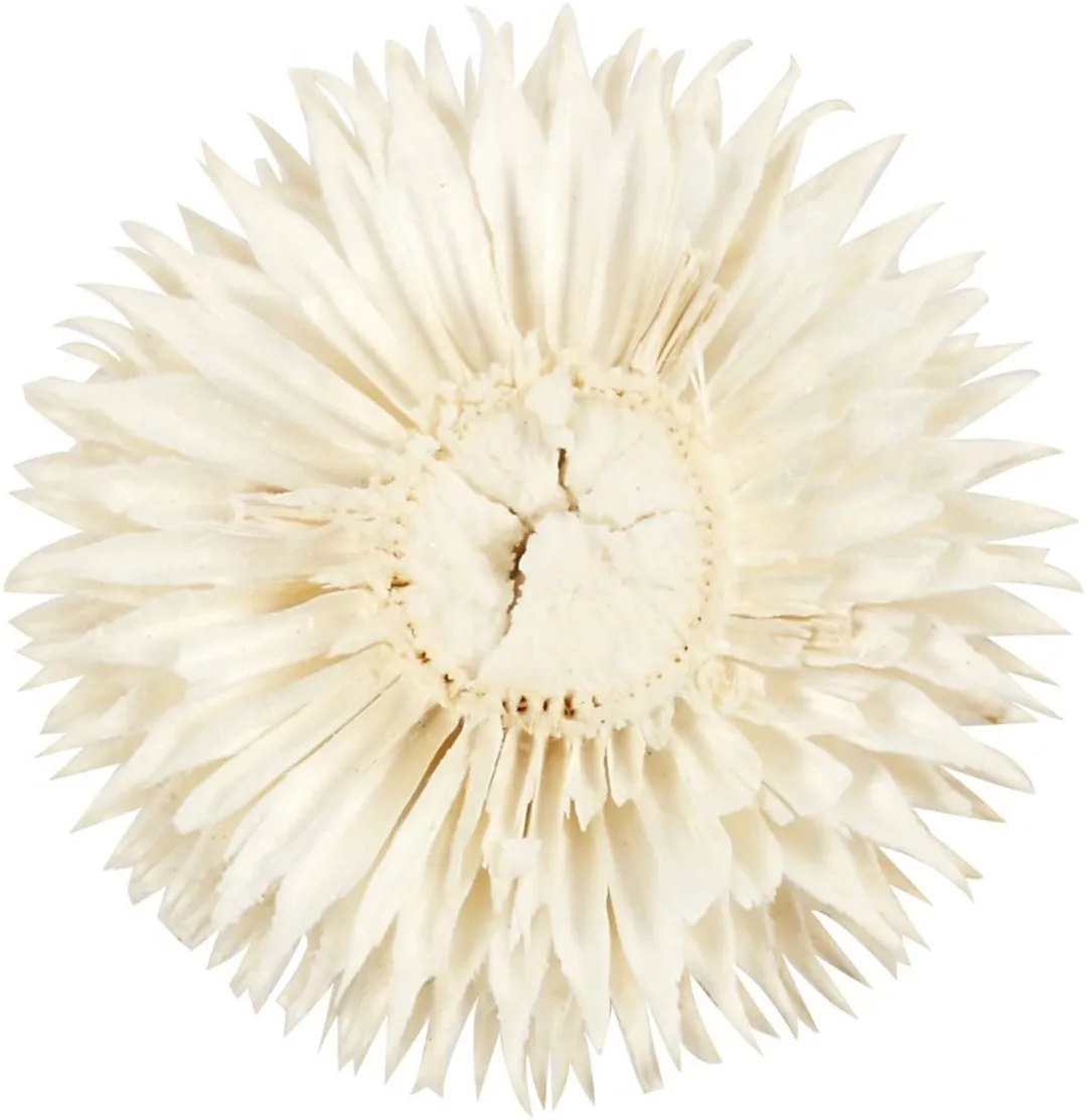 Creativ Company Gedroogde Bloemen - Multicolor - 6 Stuks