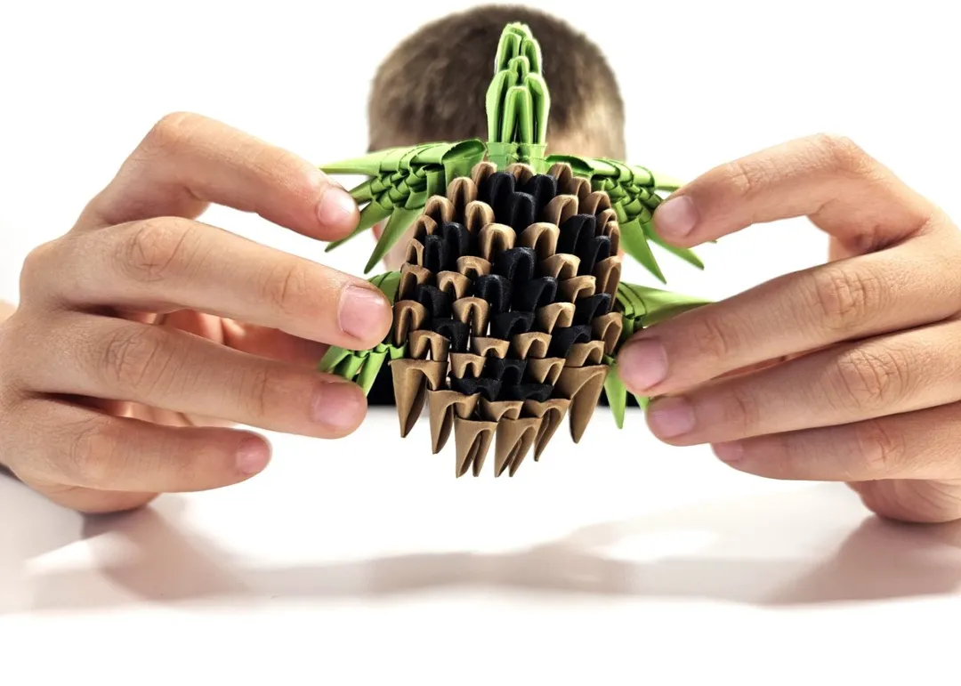 Alexander Origami 3D Schildpadden - 192 Stuks