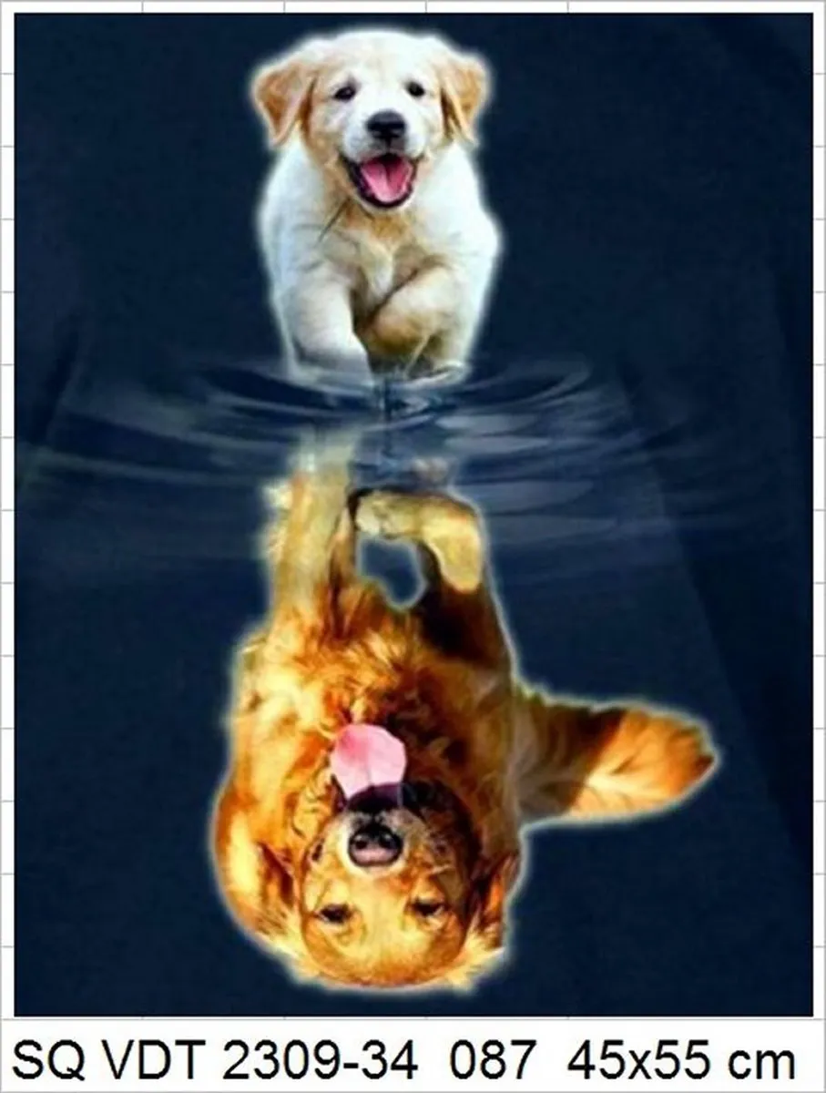 VDTOYS Diamond Painting VDTA087 Labrador 2 Reflection - 45x55cm