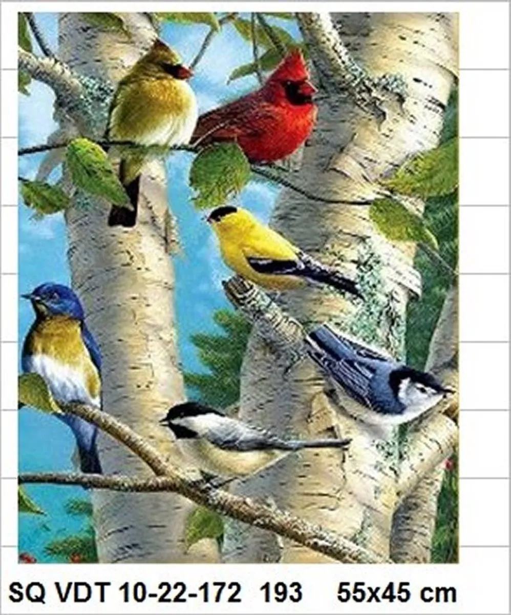 VDTOYS Diamond Painting VDT193 Beautifull Birds 5 - Groot formaat 45x55cm