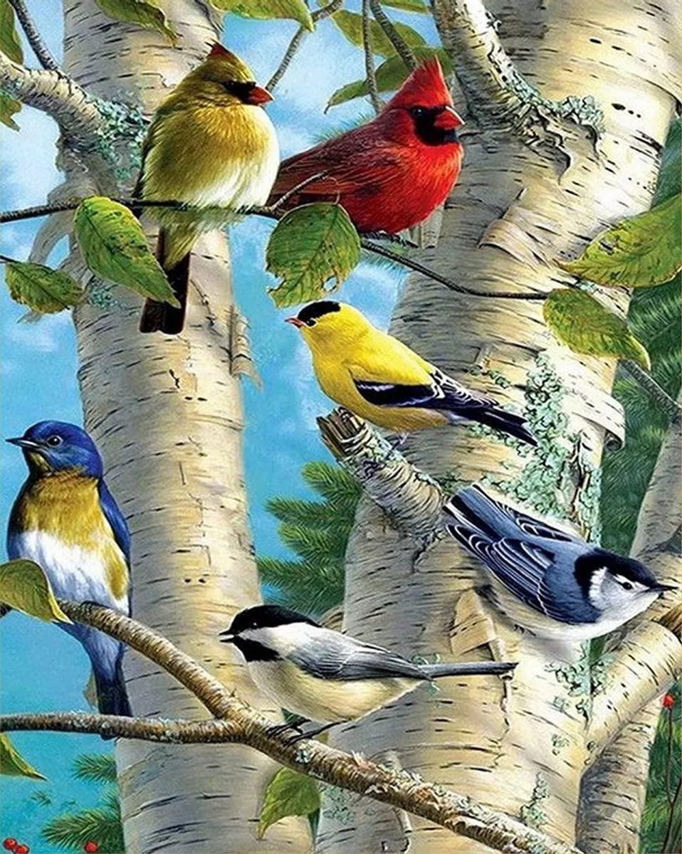 VDTOYS Diamond Painting VDT193 Beautifull Birds 5