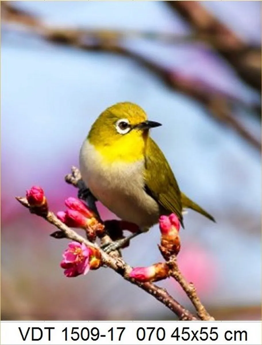 VDTOYS Diamond Painting VDTA070 Little Bird 1 - 45x55cm
