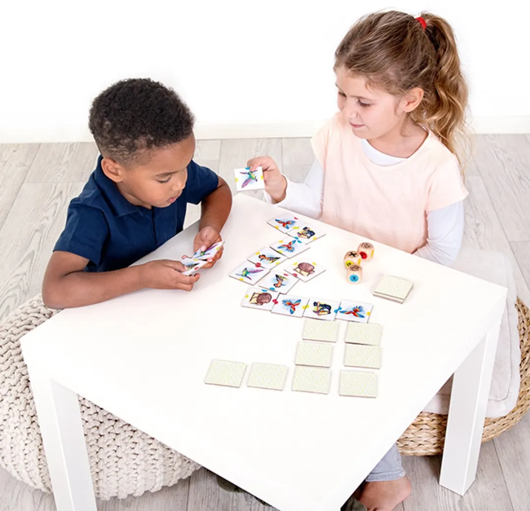 Beleduc Birdy Spel - 2 tot 5 spelers